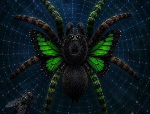 De Vlinspin
